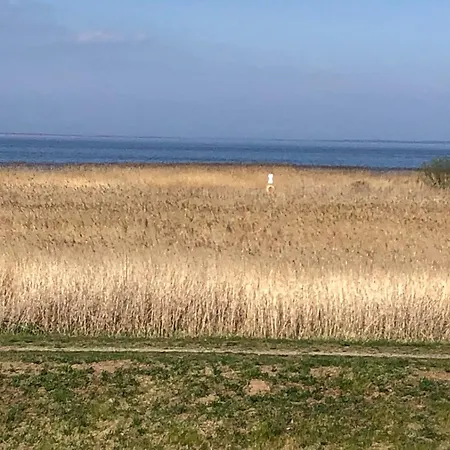 아파트 Sonniges Strandhaus Mit Wasserblick Am Haff Mit 2 Schlafzimmern Fuer 4 Pers *