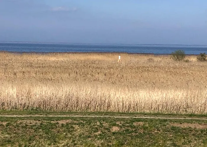 Lägenhet Sonniges Strandhaus Mit Wasserblick Am Haff Mit 2 Schlafzimmern Fuer 4 Pers *